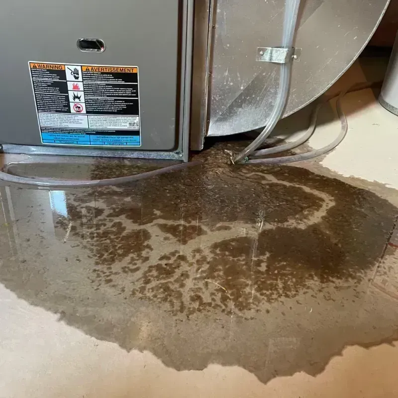 Appliance Leak Cleanup in Moscow Mills, MO